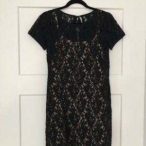 Loft Lace Short Sleeved Dress